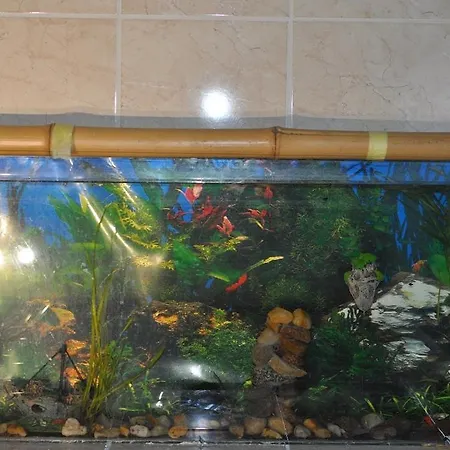 Sea Apartament Wrocław